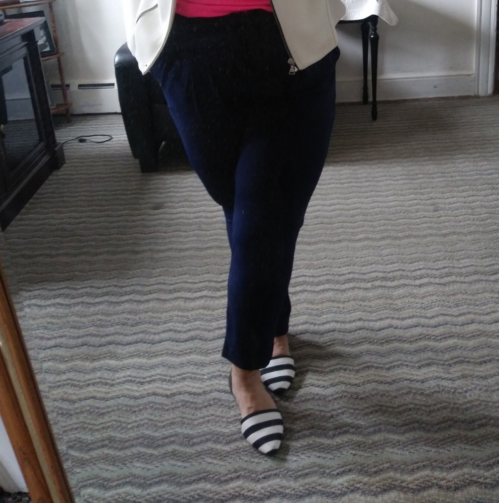 Express Pleated dress pants